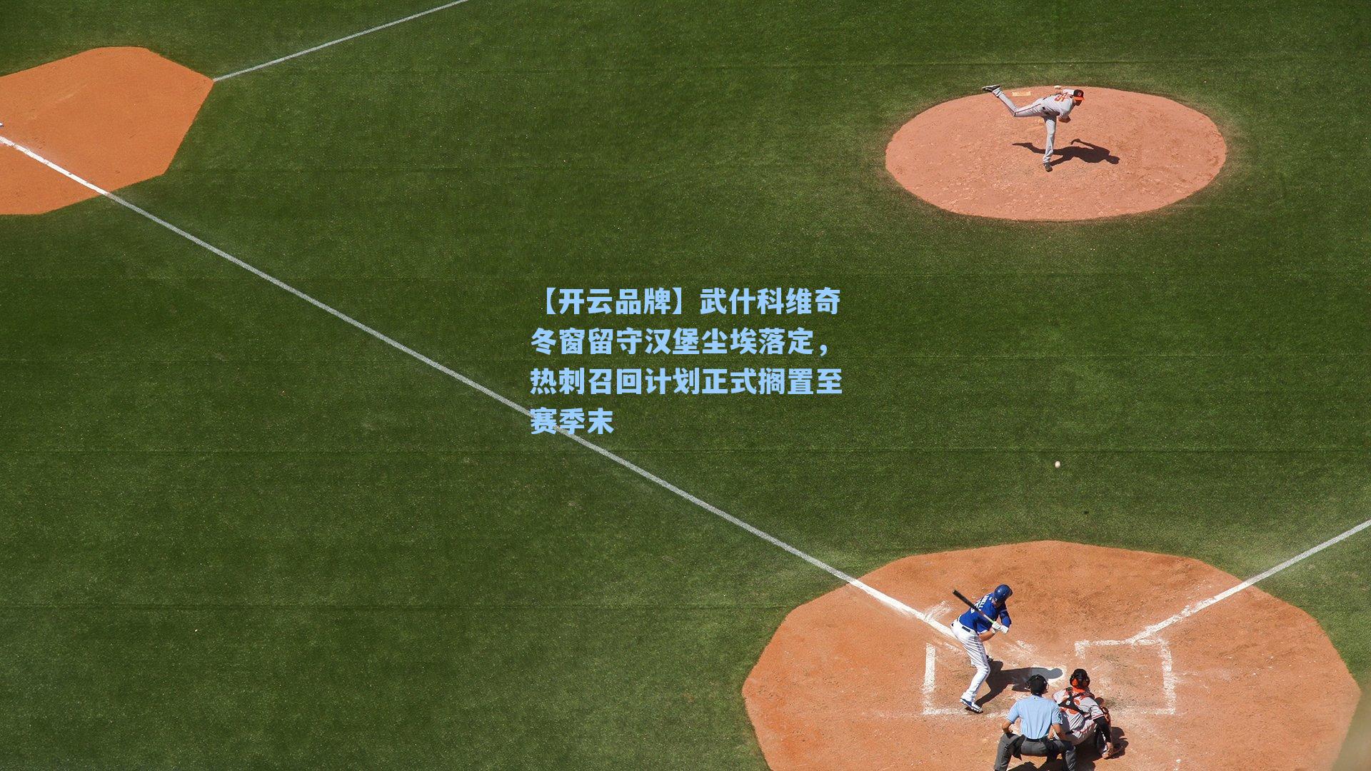 武什科维奇冬窗留守汉堡尘埃落定,热刺召回计划正式搁置至赛季末