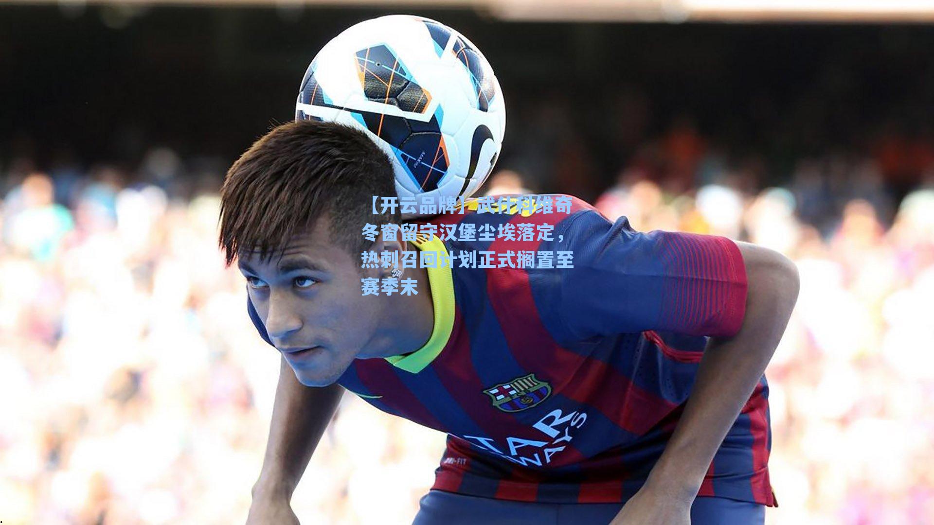 武什科维奇冬窗留守汉堡尘埃落定,热刺召回计划正式搁置至赛季末