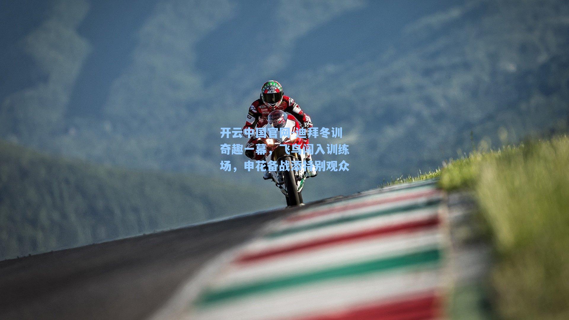 开云中国官网-迪拜冬训奇趣一幕，飞鸟闯入训练场，申花备战添特别观众